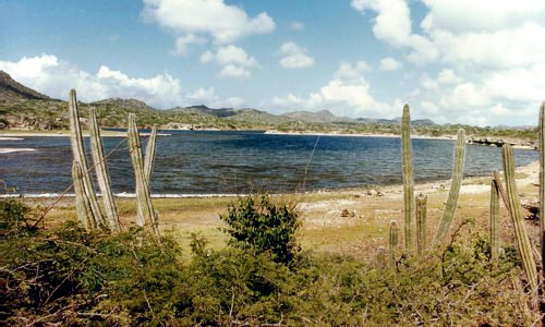 Areas Resto del Mundo